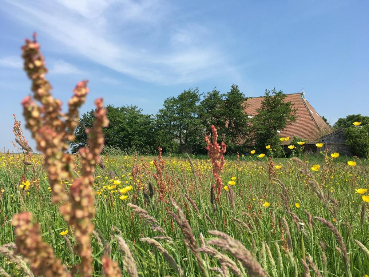 Greonterp B&B Boerderij De Tempel מראה חיצוני תמונה