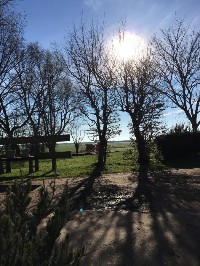 Greonterp B&B Boerderij De Tempel מראה חיצוני תמונה